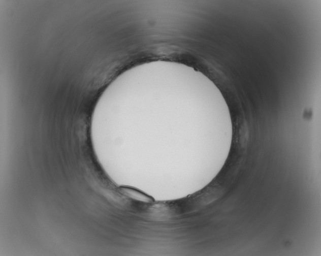 X0000111790562200909031200