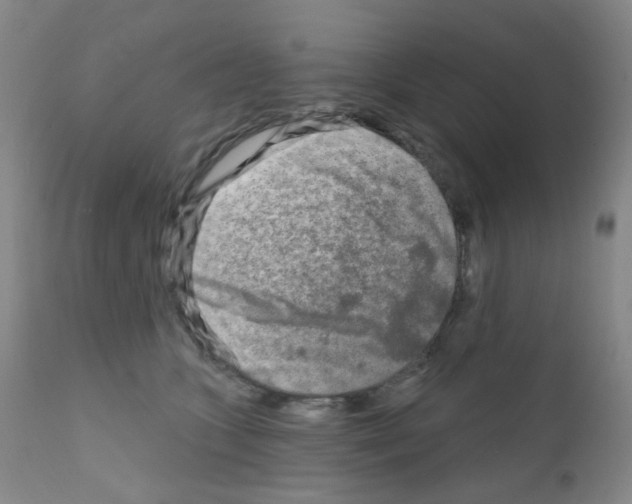 X0000111790563200909031200