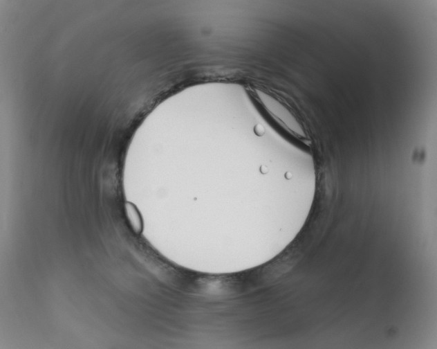 X0000111790564200909031200