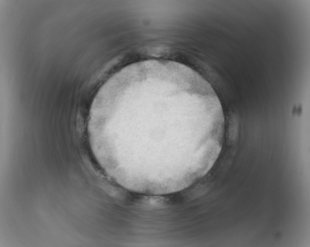 X0000111790569200909031200