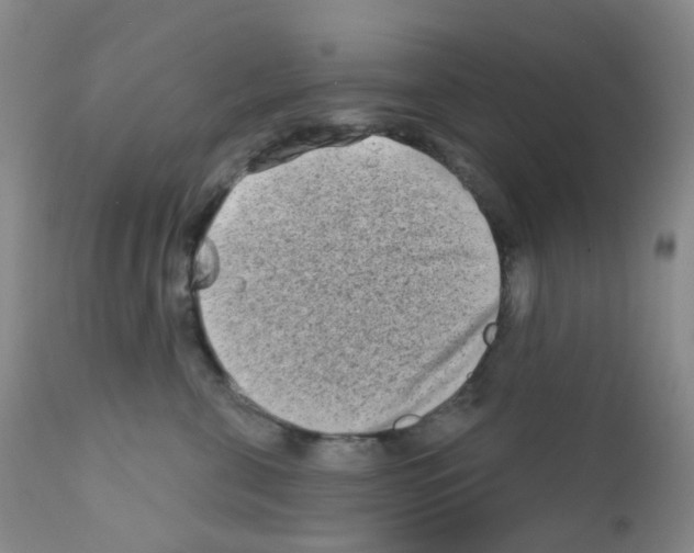 X0000111790571200909031200