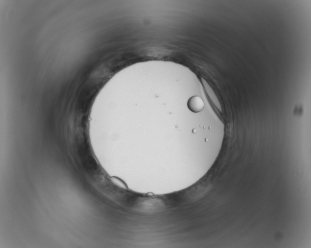 X0000111790572200909031200