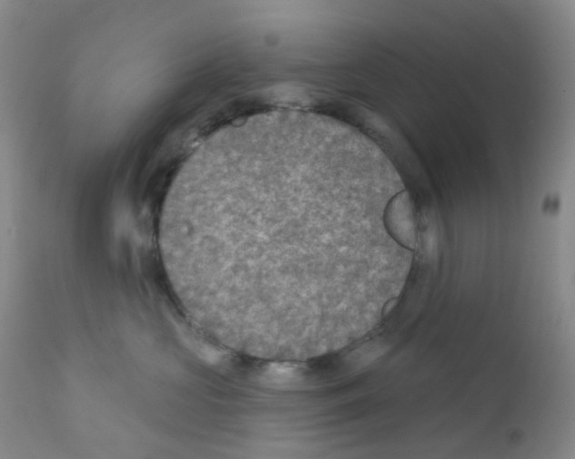 X0000111790573200909031200