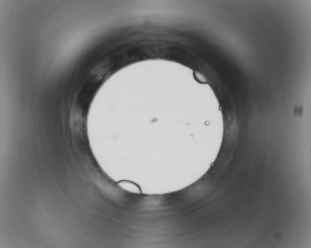 X0000111790574200909031200