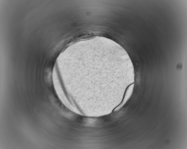 X0000111790575200909031200