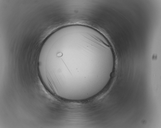 X0000111790577200909031159