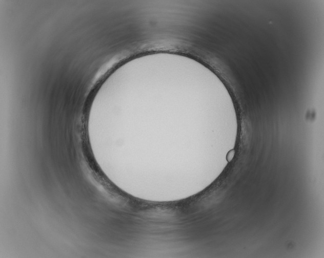 X0000111790578200909031159