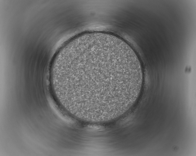 X0000111790582200909031159