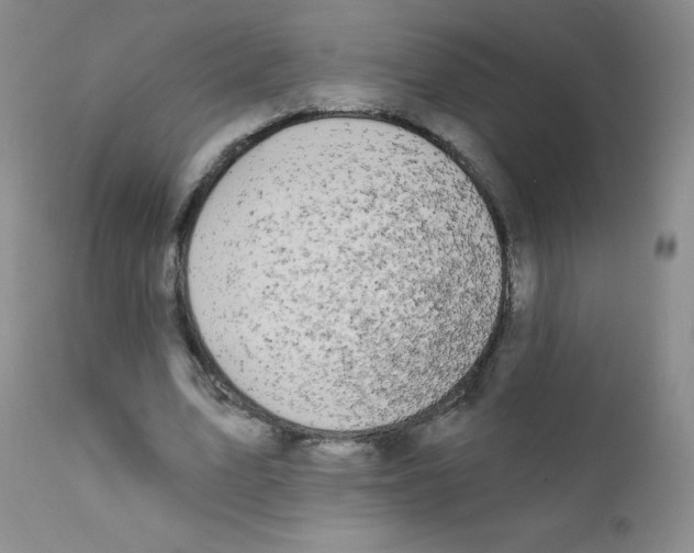 X0000111790583200909031159