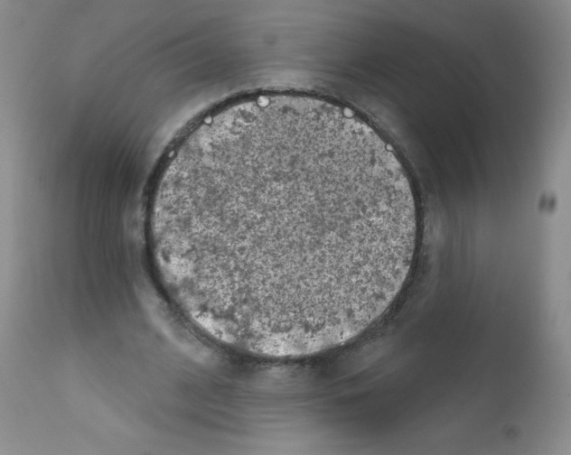 X0000111790584200909031159