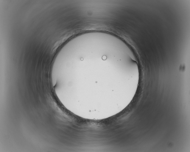 X0000111790585200909031159