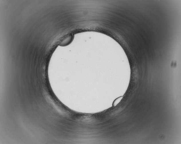 X0000111790589200909031159