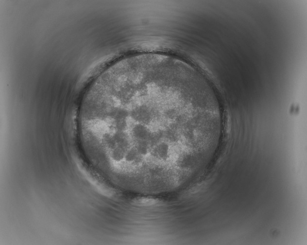 X0000111790590200909031159