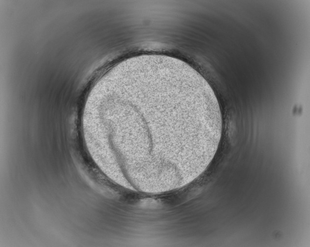 X0000111790591200909031159