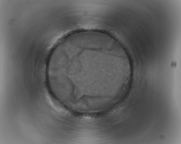 X0000111790592200909031159