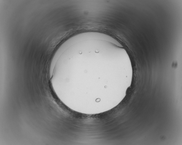 X0000111790593200909031159