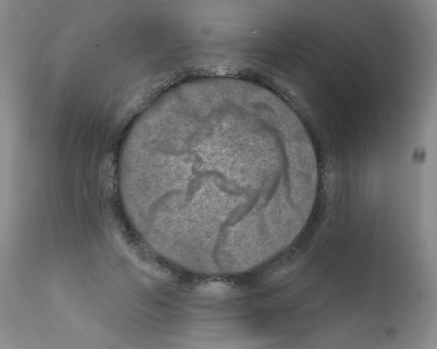 X0000111790594200909031159