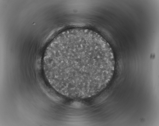 X0000111790596200909031159