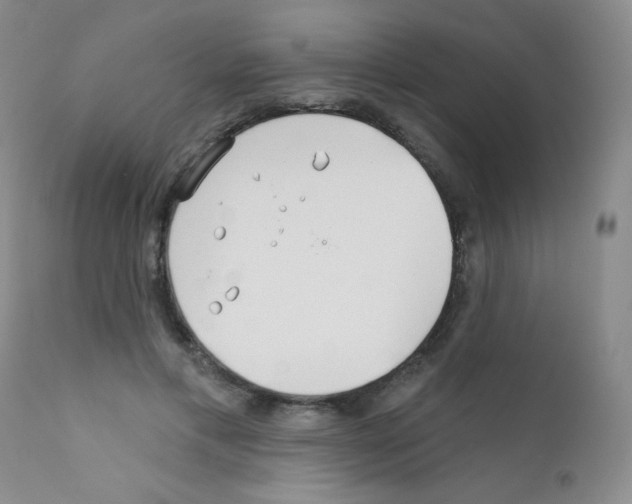 X0000111790597200909031159