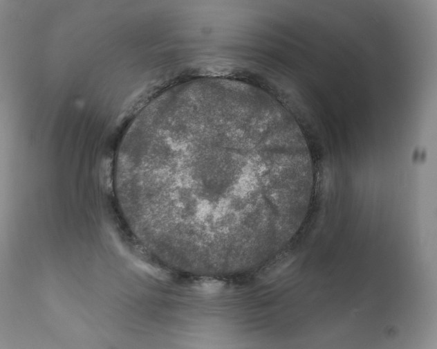 X0000111790598200909031159