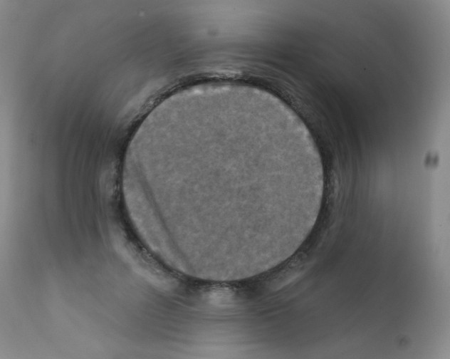 X0000111790600200909031159