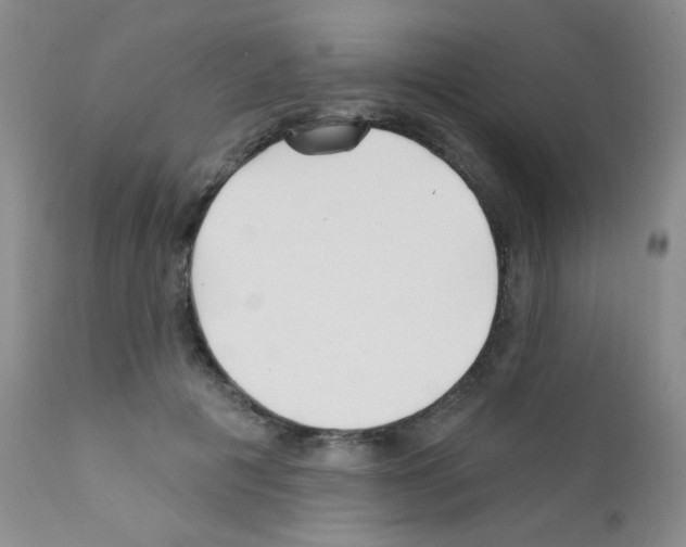 X0000111790601200909031159