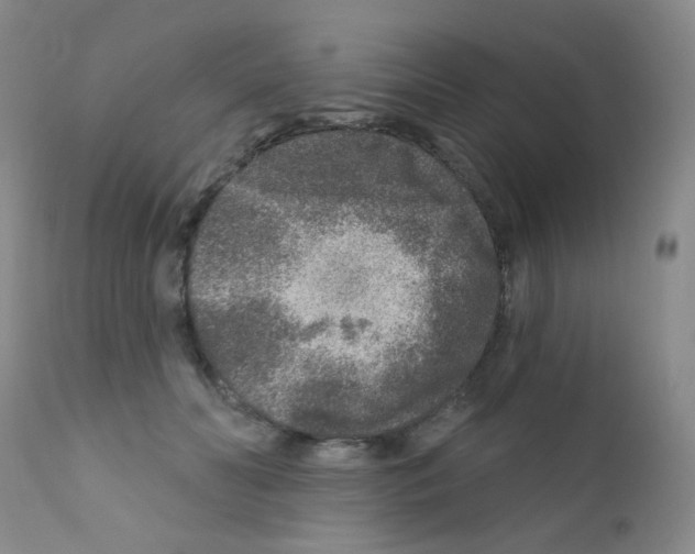 X0000111790606200909031159