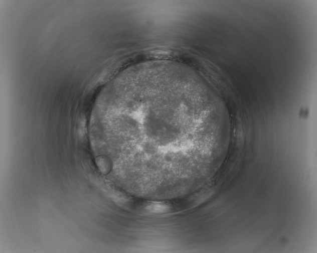 X0000111790610200909031159