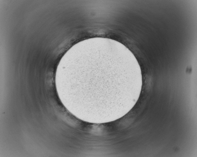 X0000111790612200909031159