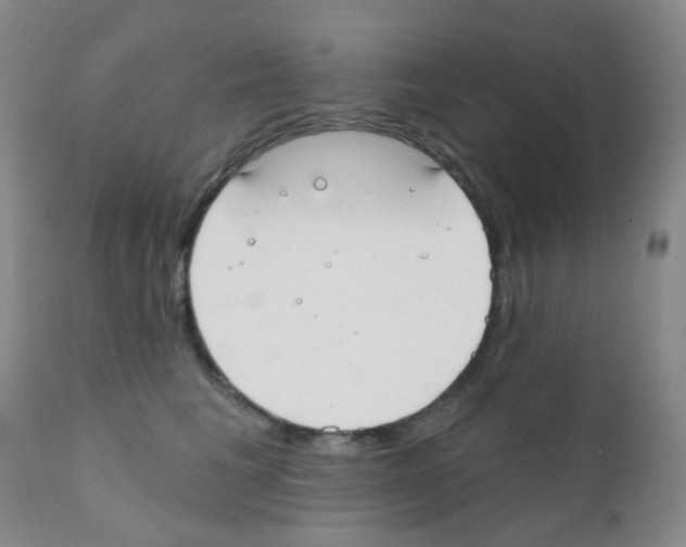 X0000111790613200909031159