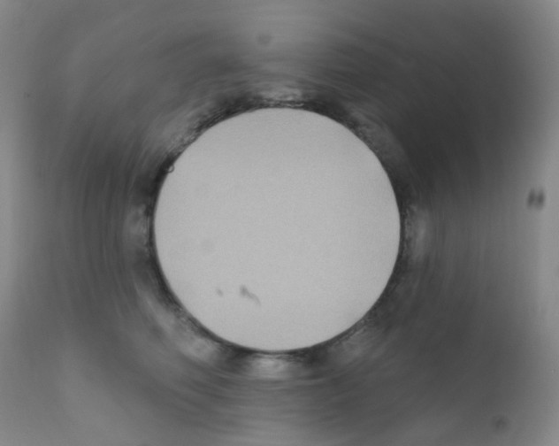 X0000111790614200909031159