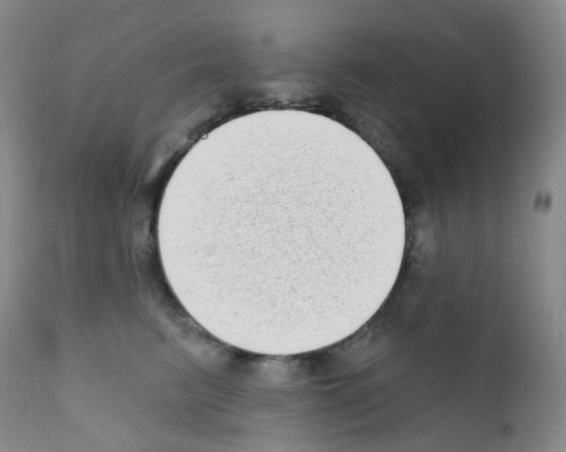 X0000111790615200909031159