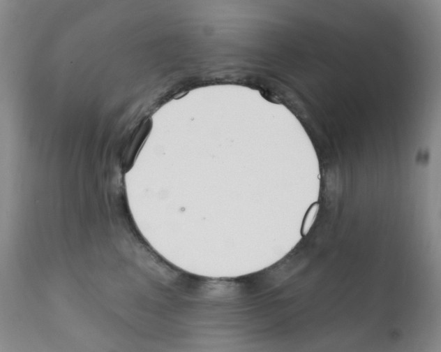 X0000111790617200909031159