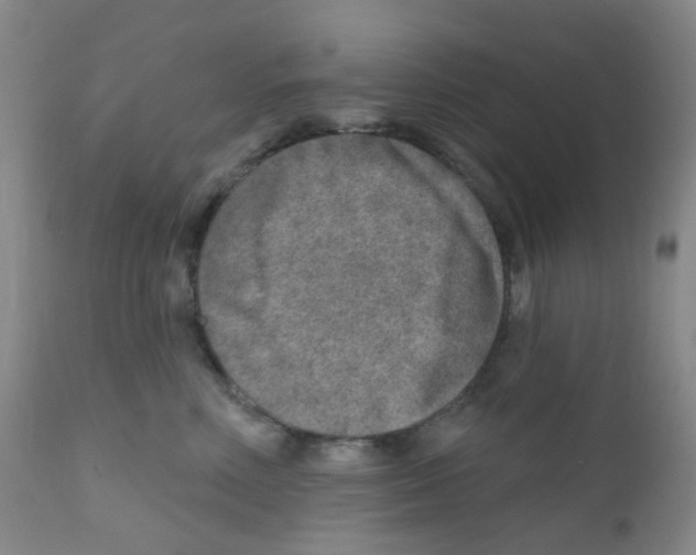 X0000111790618200909031159