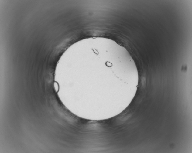 X0000111790620200909031159