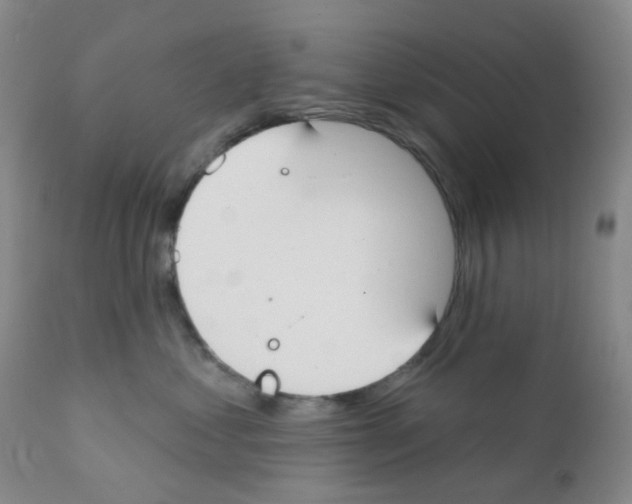 X0000111790621200909031159