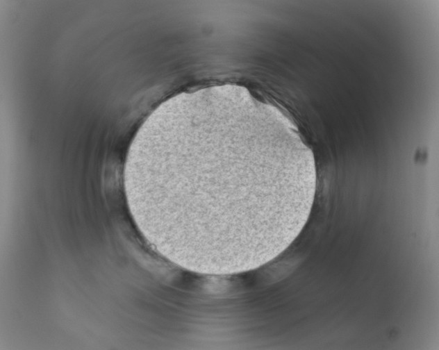 X0000111790623200909031159