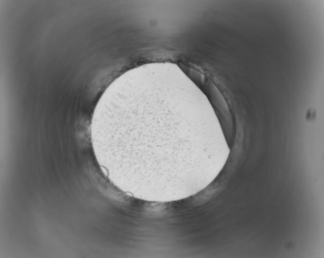 X0000111790624200909031159