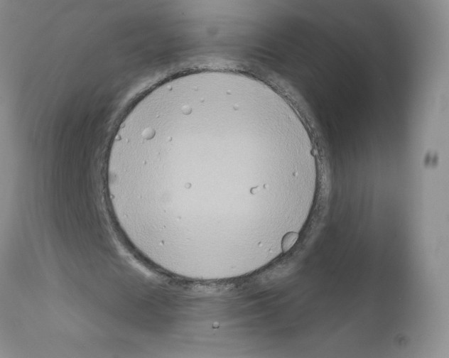 X0000111790625200909031158