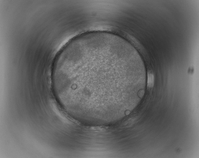 X0000111790627200909031158