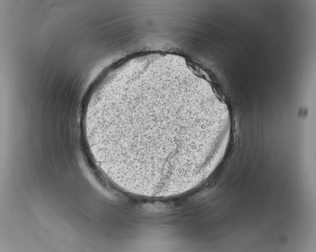 X0000111790630200909031158