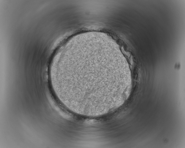 X0000111790634200909031158