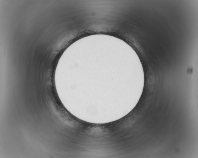 X0000111790635200909031158