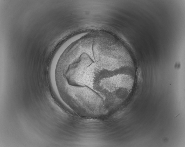 X0000111790637200909031158