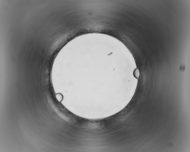 X0000111790638200909031158