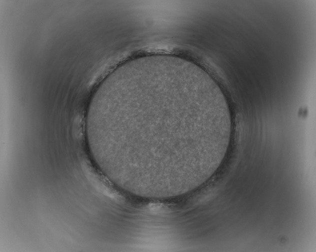 X0000111790641200909031158