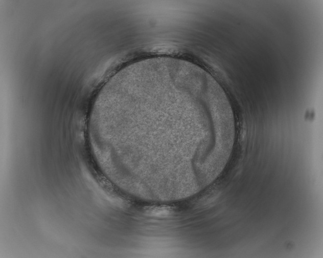 X0000111790643200909031158