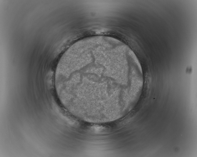 X0000111790650200909031158