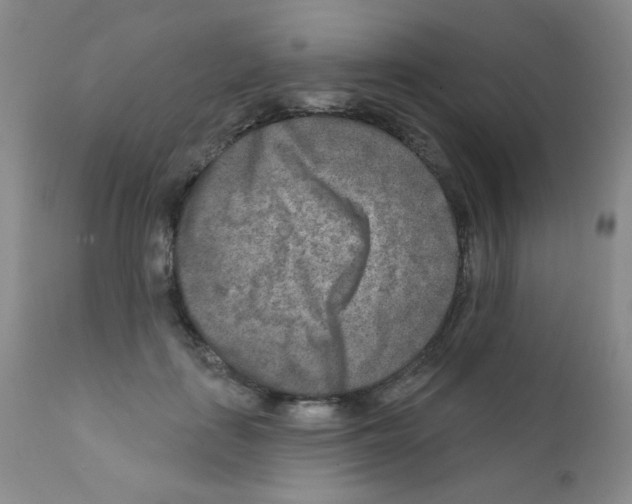 X0000111790651200909031158