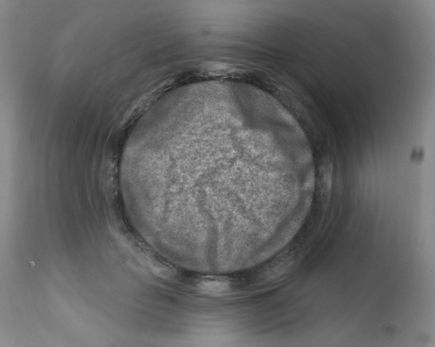 X0000111790653200909031158